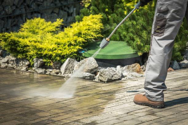 Best Patio and Deck Pressure Washing  in Ciborne, LA