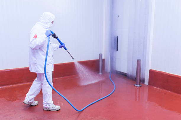 Best Spring Cleaning  in Ciborne, LA