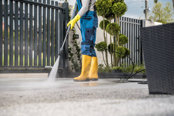 Best Driveway Pressure Washing  in Ciborne, LA